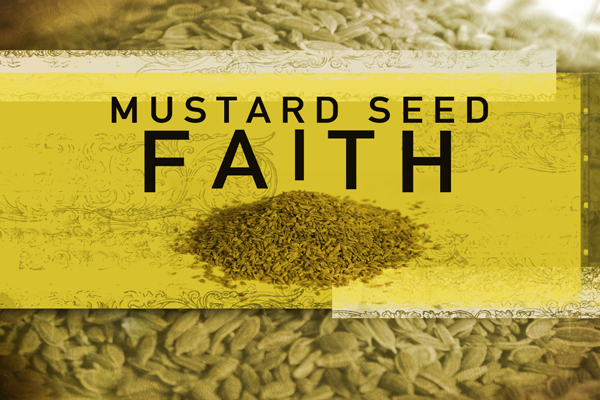4/17/2016 – It’s All in the Seed! (Series Part 3 of 4)