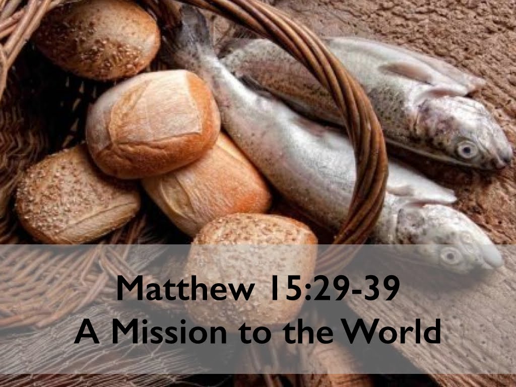 Matthew 15-29